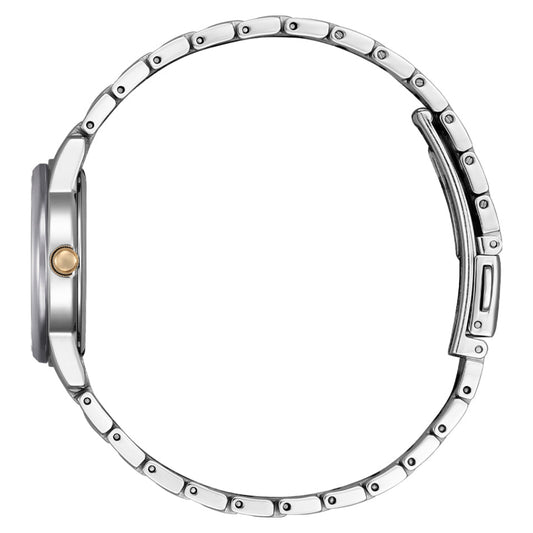 Citizen Eco-Drive Black Dial Stainless Steel Women's Watch (EW2317-76E)